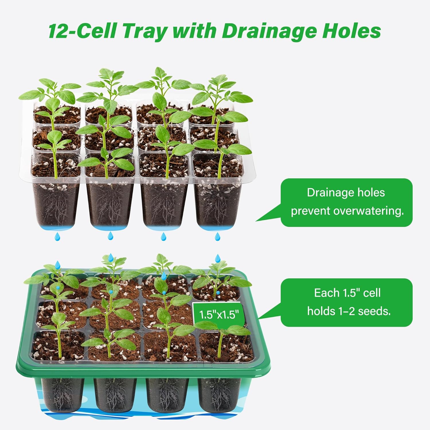 6/12 Grids Growing Starting Nu - đánh giá và giá Dome Propagation Kit