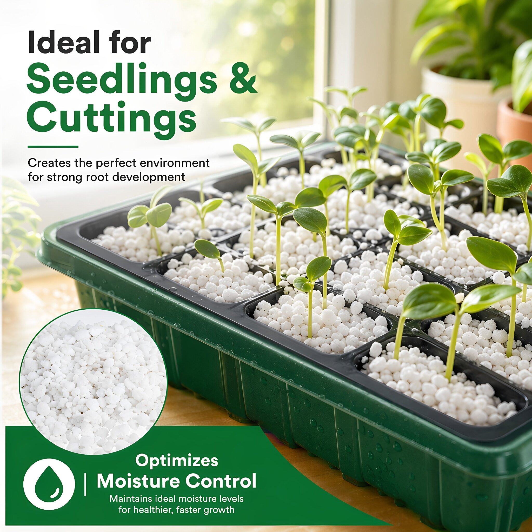 Horticultural Perlite Plant In - đánh giá và giá Horticulture Soil Perlite