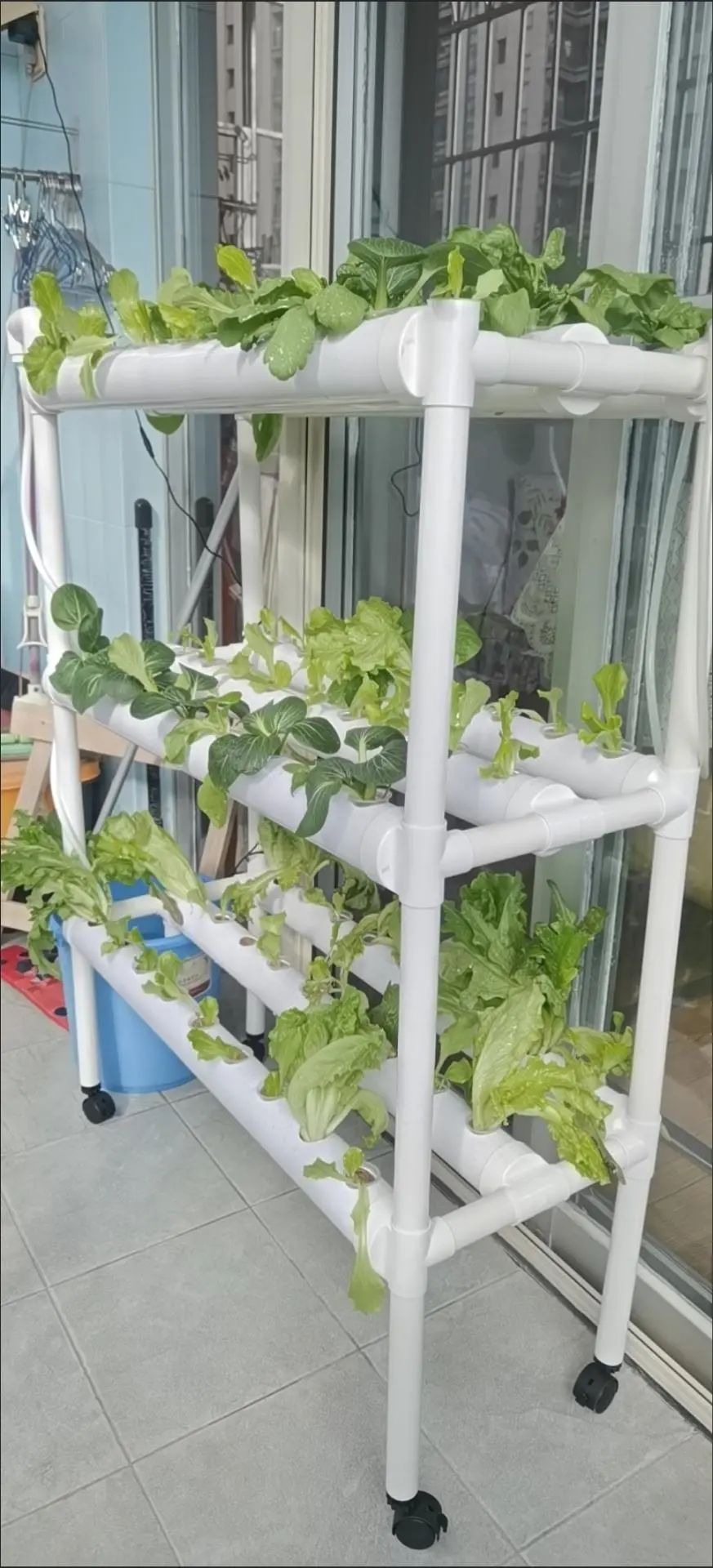 China Grow Tent Indoor Plants  - đánh giá và giá Grow Tent 4X4