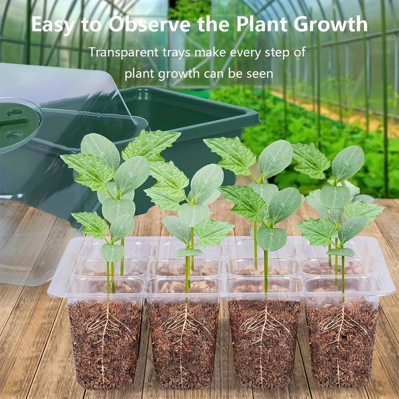 3pcs Seed Starter Tray Mini Gr - đánh giá và giá Dome Propagation Kit