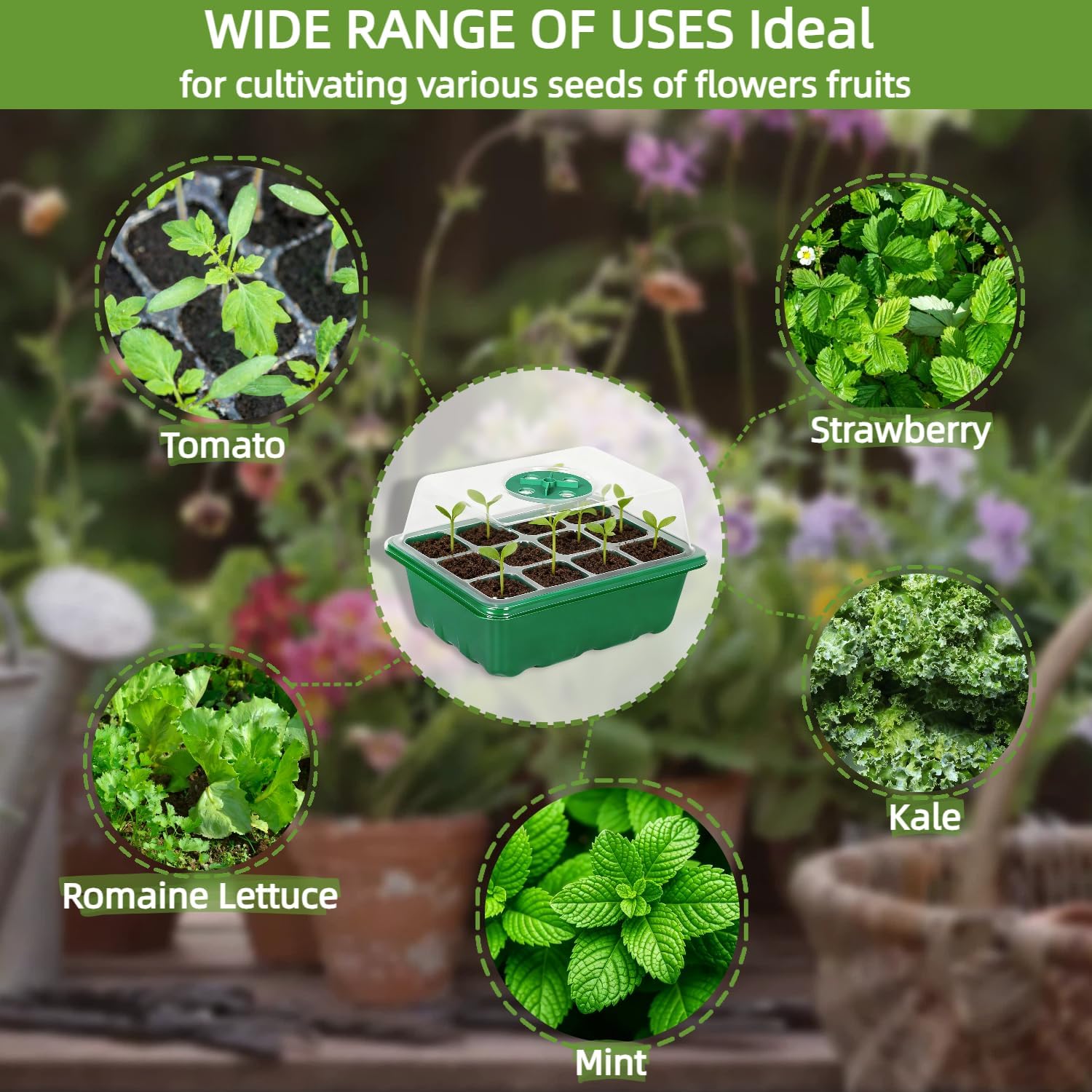 10Pcs Seed Starter Tray Mini G - đánh giá và giá Dome Propagation Kit
