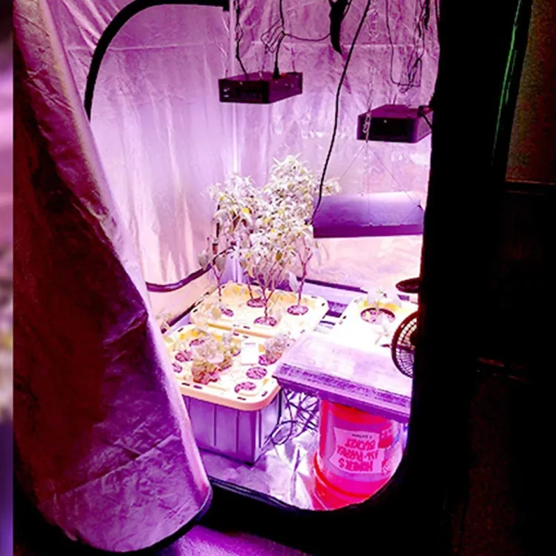 New Trend Grow Tent 4x4 for In - đánh giá và giá Grow Tent 4X4
