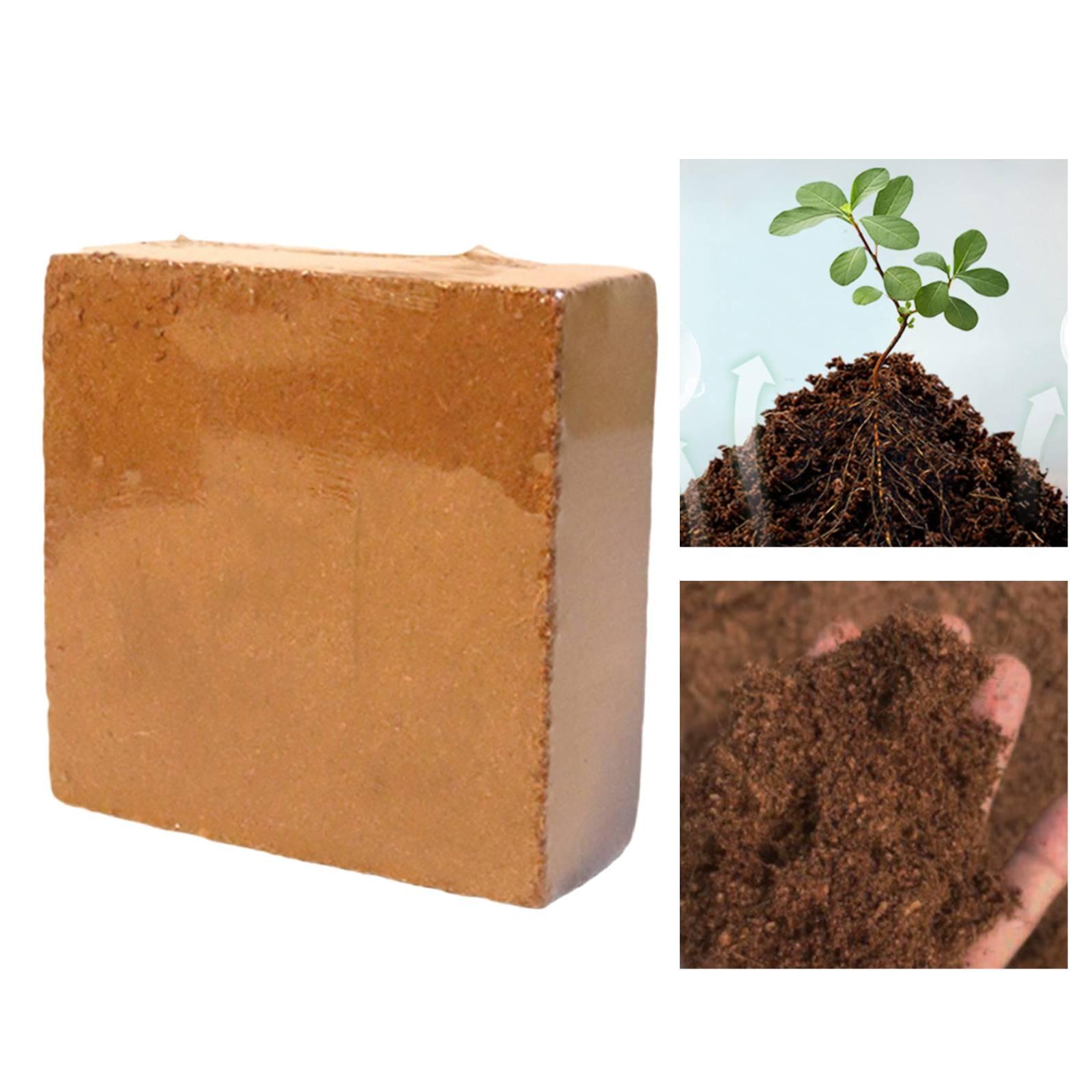 Moisture Holding Cocos Coir Co - đánh giá và giá Coco Coir Block