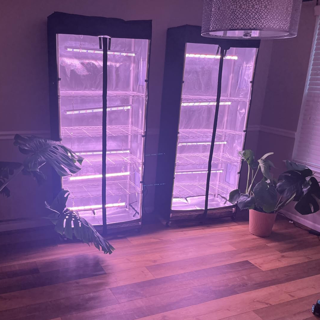 Movable vegetable and mushroom - đánh giá và giá Grow Tent 4X4