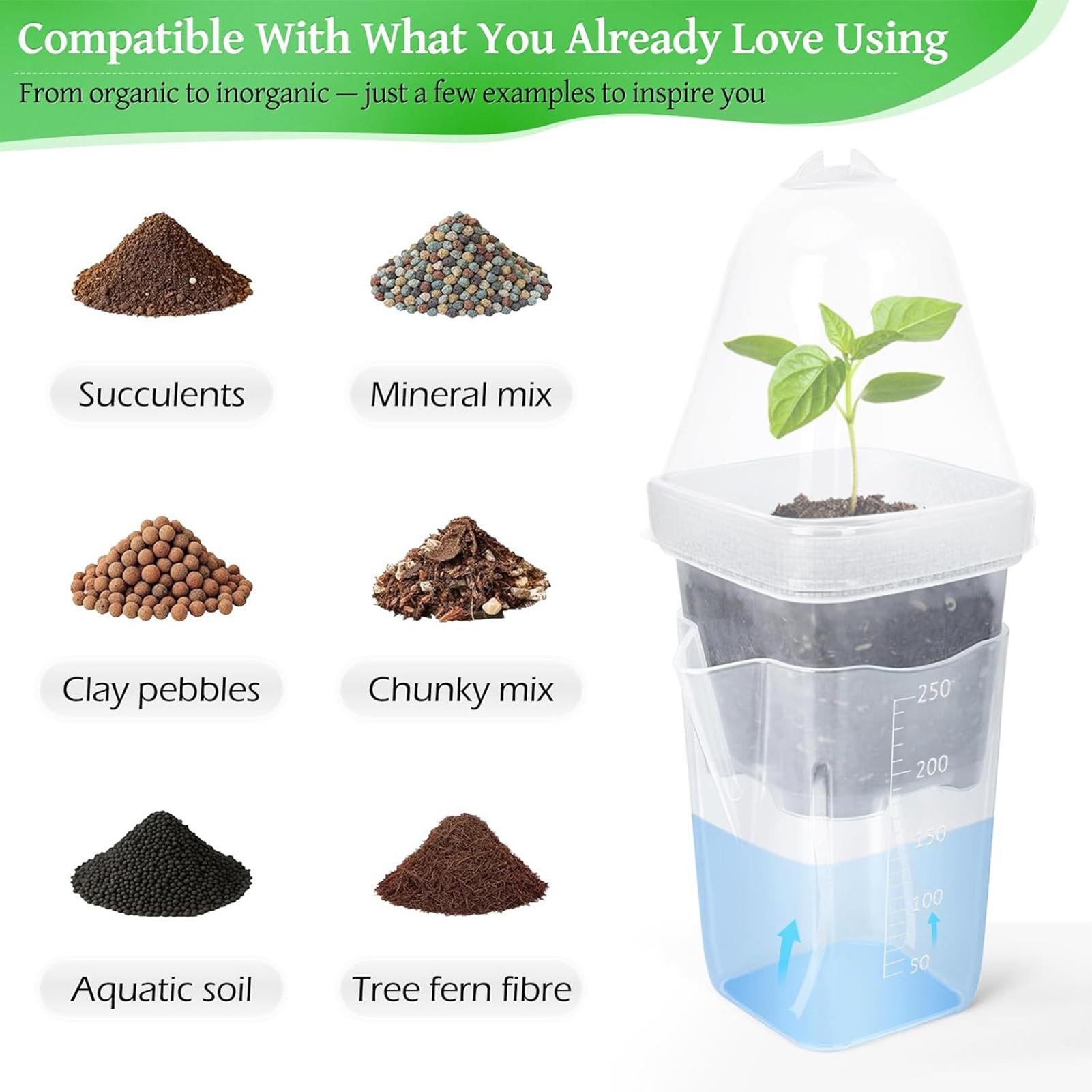 Self Watering Pots 12Pcs Seed  - đánh giá và giá Dome Propagation Kit