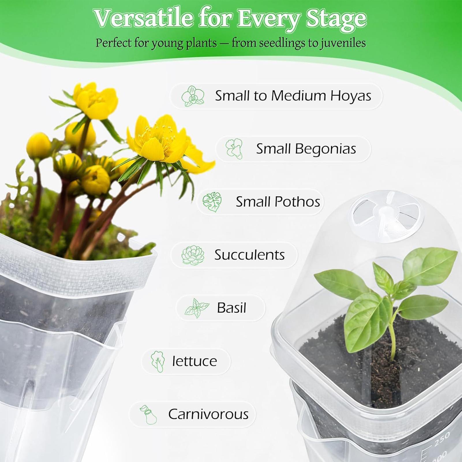 Self Watering Pots 12Pcs Seed  - đánh giá và giá Dome Propagation Kit