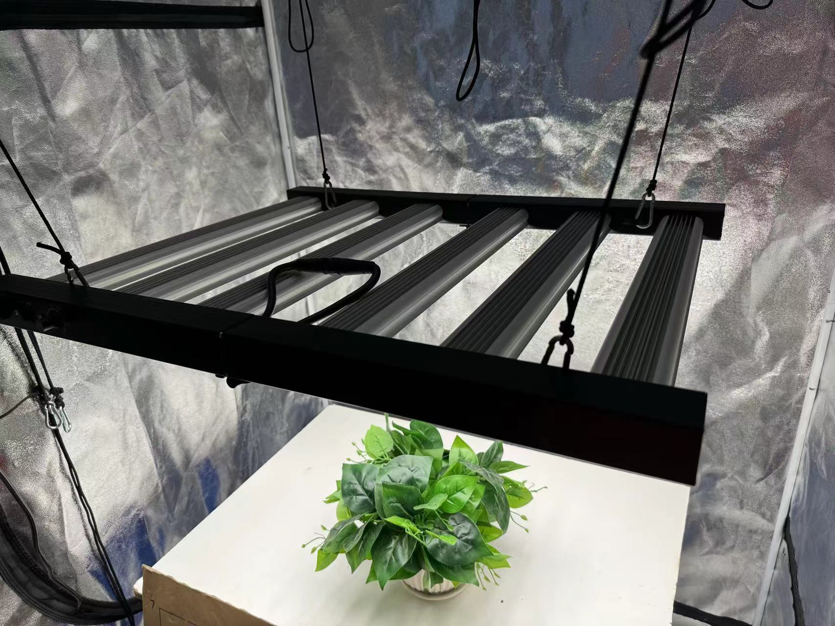 4x4 Grow Tent Complete Kit, In - đánh giá và giá Grow Tent 4X4