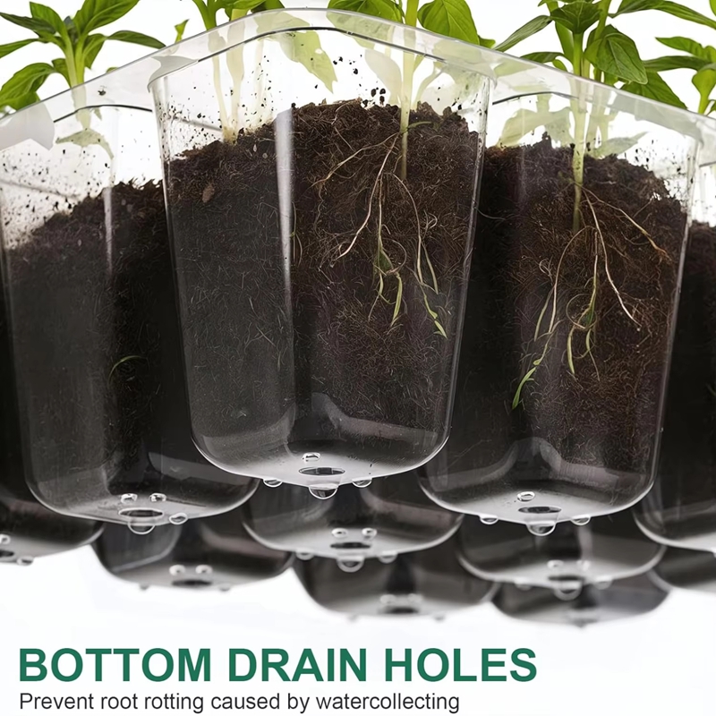 Seed Starter Tray Mini Greenho - đánh giá và giá Dome Propagation Kit